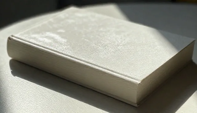 家庭定制游：提升沟通效率的关键策略